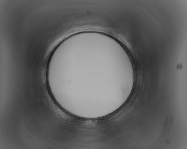 X0000089401504200707131729