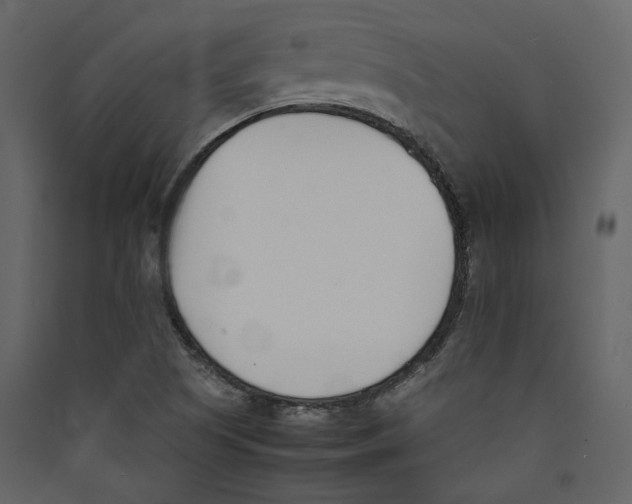 X0000089401505200707131729