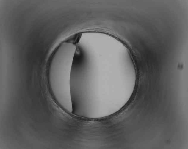 X0000089401506200707131729