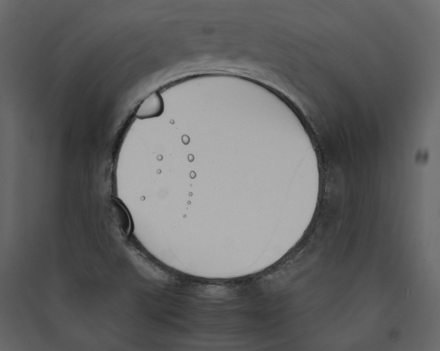 X0000089401507200707131729