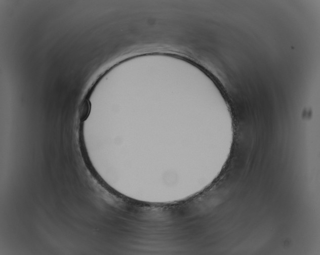 X0000089401508200707131729