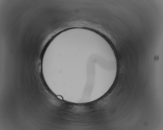 X0000089401509200707131729