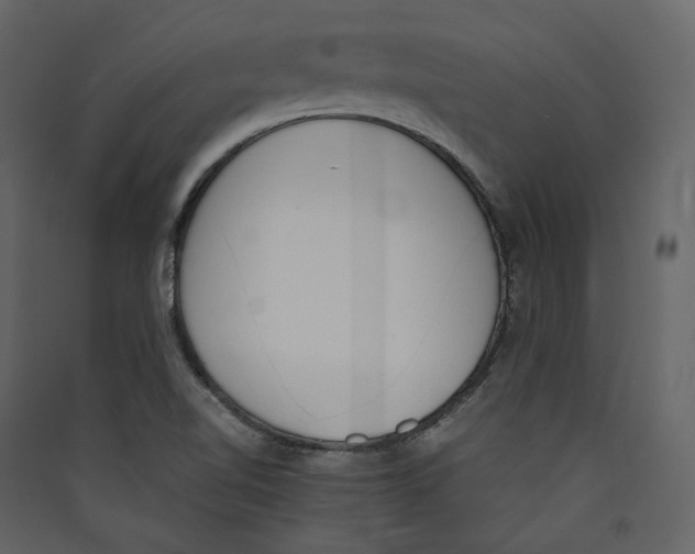 X0000089401510200707131729