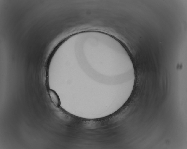 X0000089401511200707131729