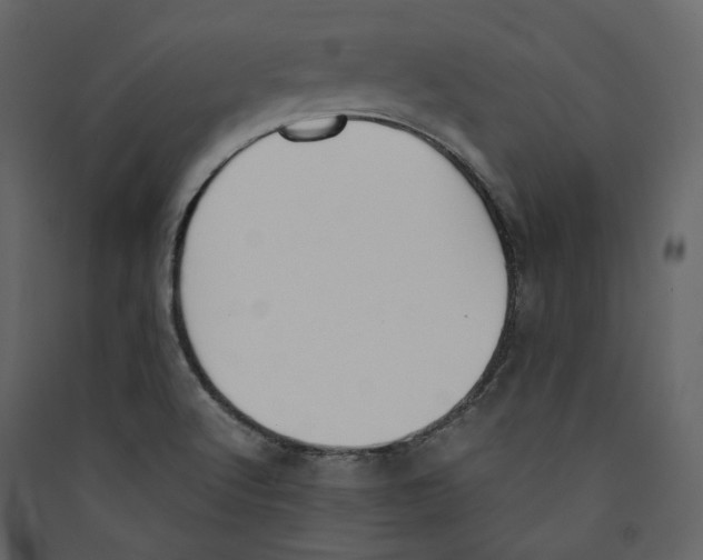X0000089401512200707131729