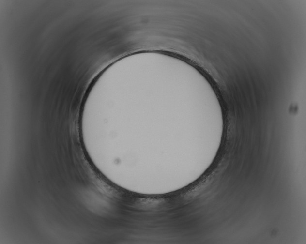 X0000089401513200707131729