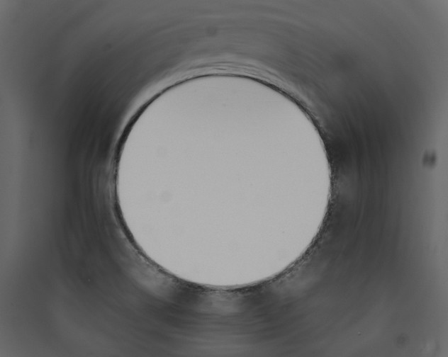 X0000089401514200707131729