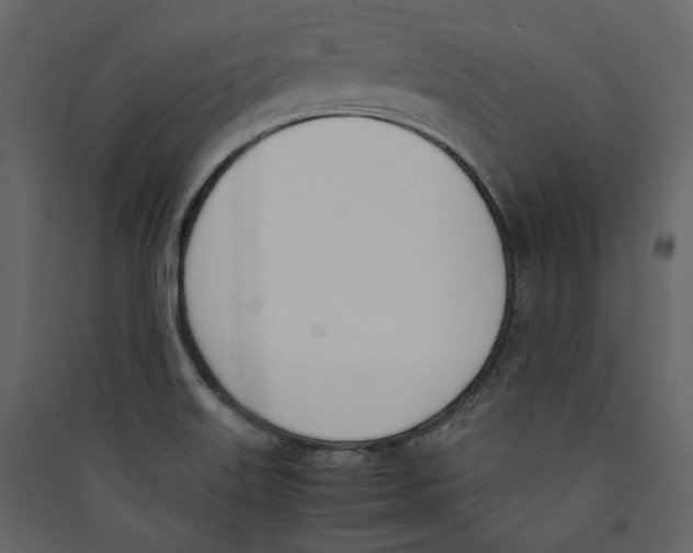 X0000089401515200707131729