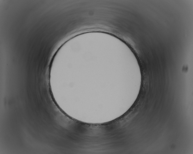 X0000089401516200707131729