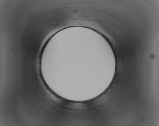 X0000089401517200707131729