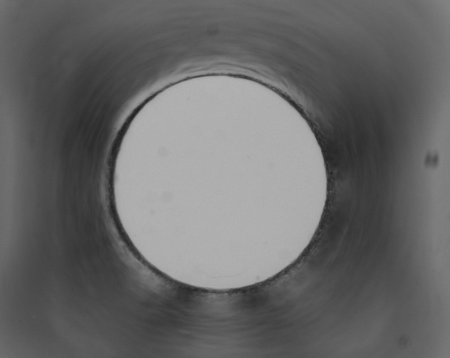 X0000089401518200707131729