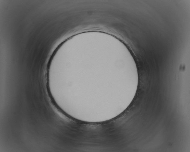 X0000089401519200707131729