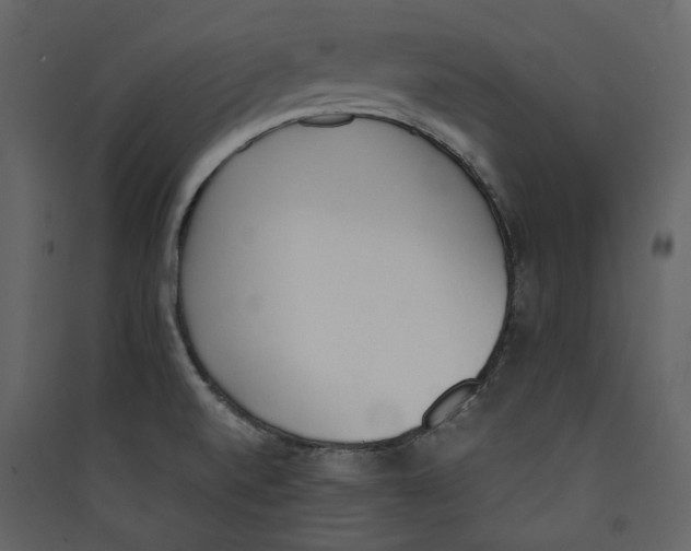 X0000089401520200707131729