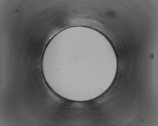 X0000089401521200707131729