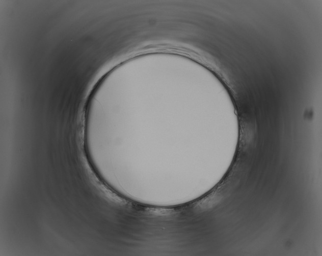 X0000089401522200707131729
