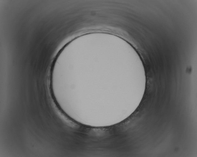 X0000089401523200707131729