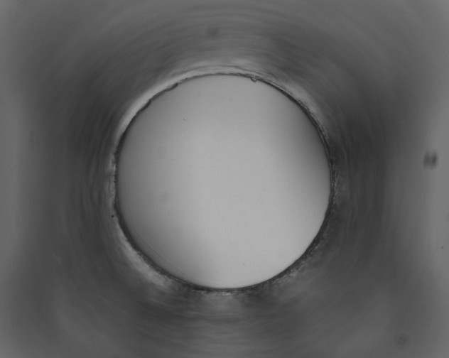 X0000089401524200707131729