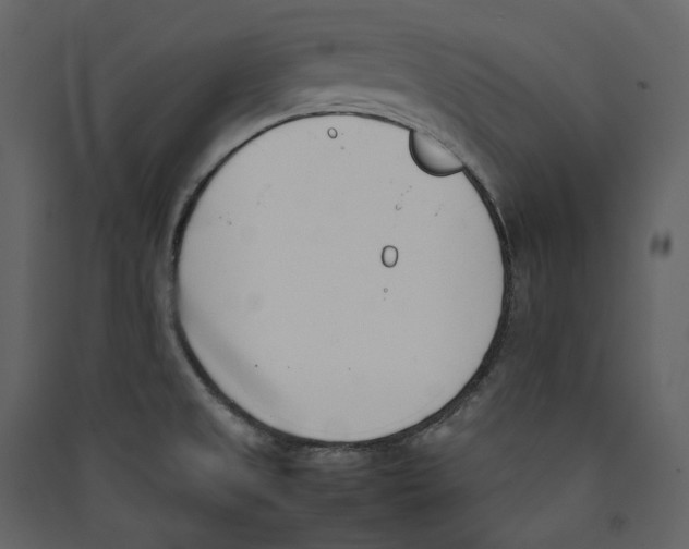 X0000089401525200707131729
