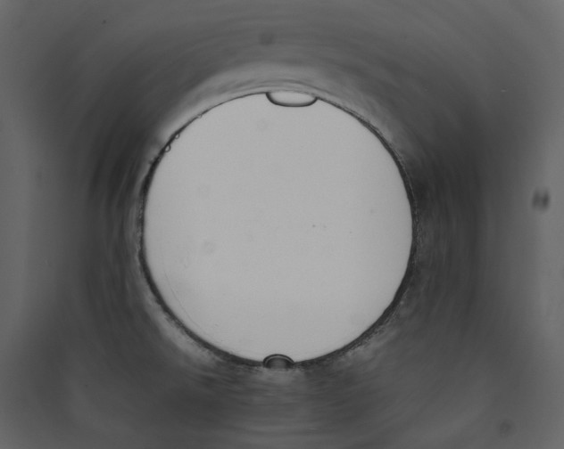 X0000089401526200707131729