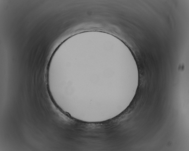 X0000089401527200707131729