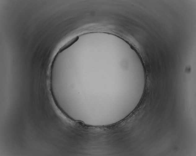 X0000089401528200707131729
