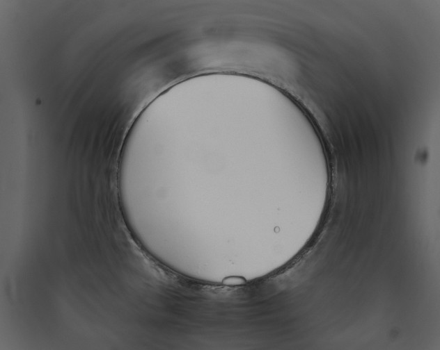 X0000089401529200707131729