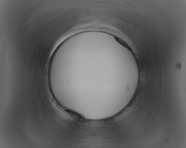 X0000089401530200707131729