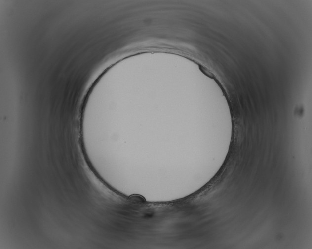 X0000089401531200707131729