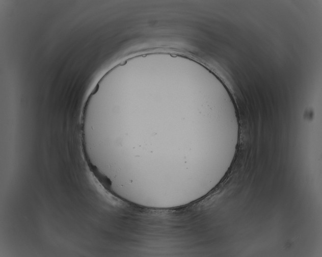 X0000089401532200707131729