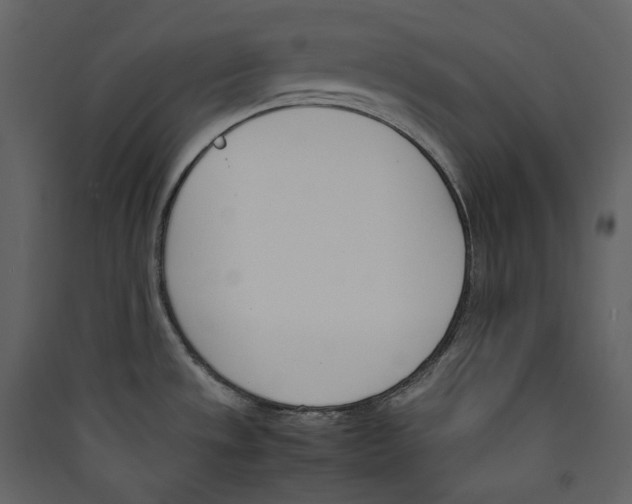 X0000089401533200707131729