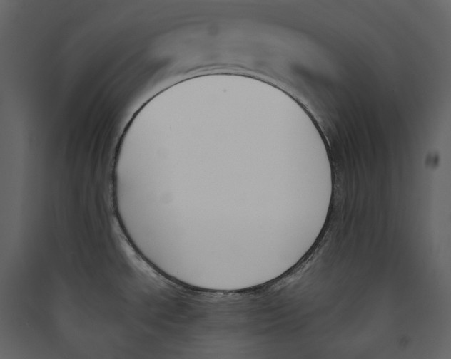 X0000089401534200707131729