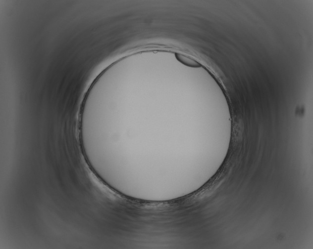 X0000089401535200707131729