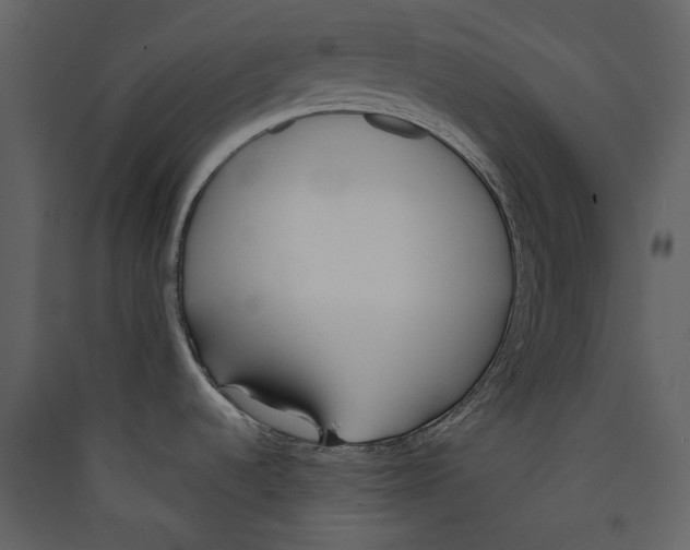 X0000089401536200707131729
