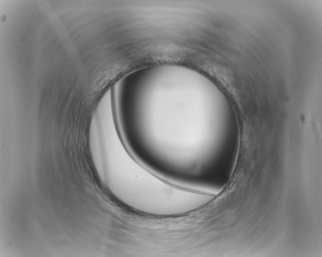 X0000089410017200706150951