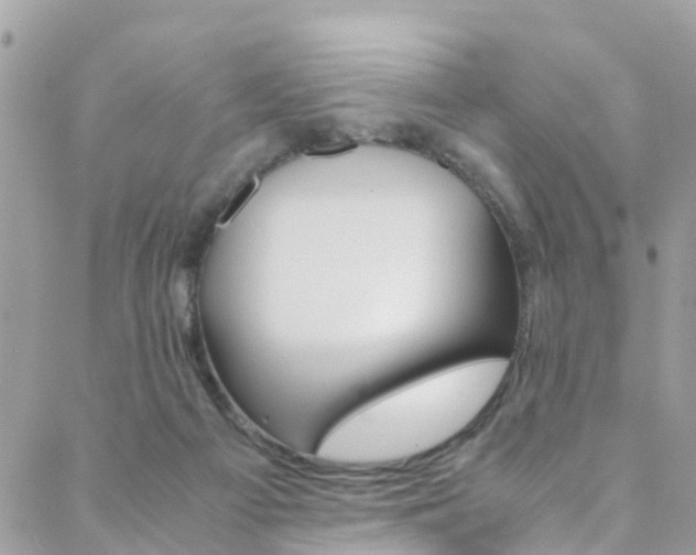 X0000089410121200706150949