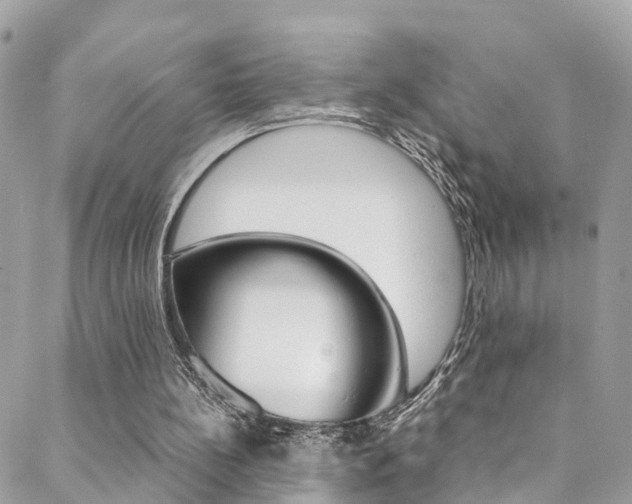X0000089410148200706150948