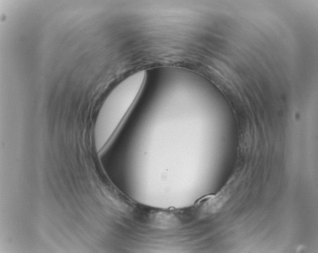 X0000089410180200706150948