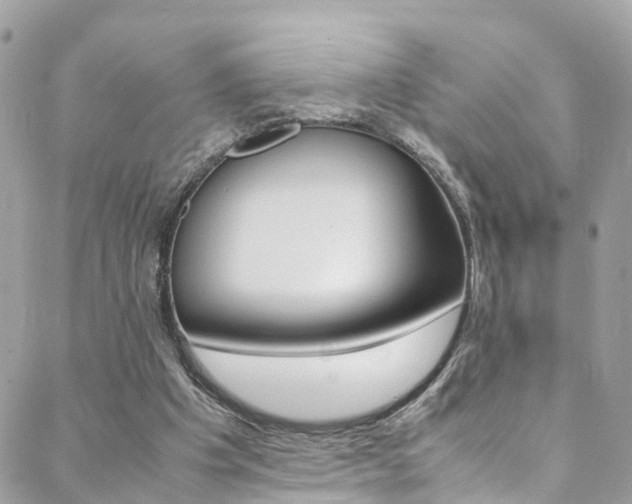 X0000089410201200706150948