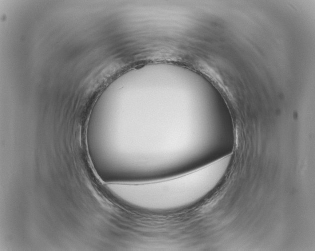 X0000089410205200706150948