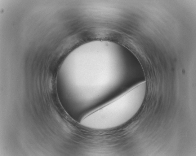 X0000089410216200706150947