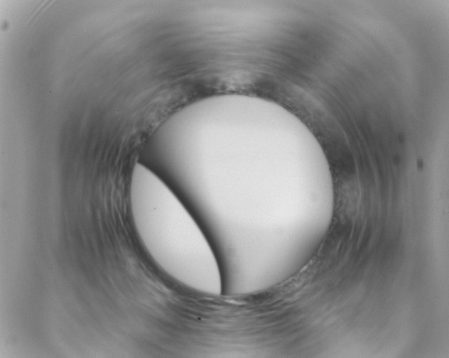X0000089410222200706150947