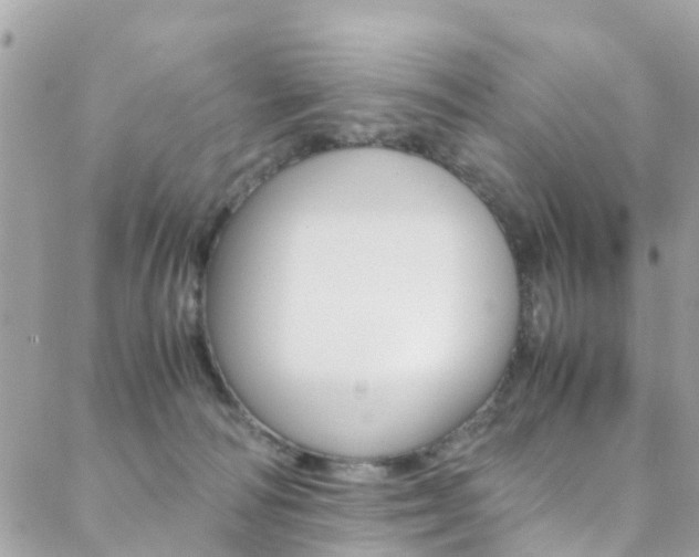 X0000089410226200706150947
