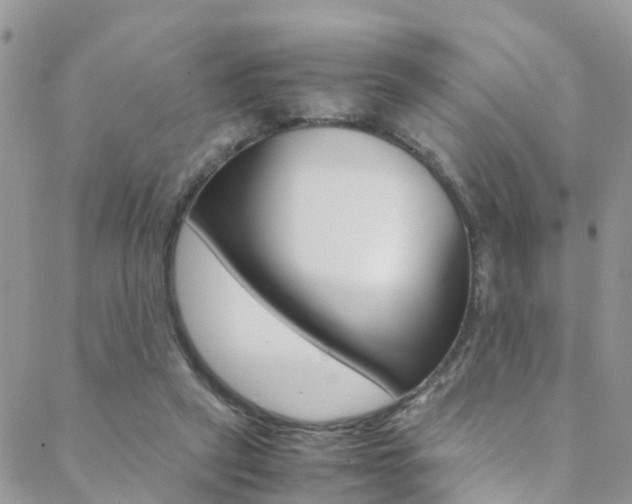 X0000089410257200706150947
