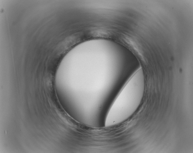 X0000089410265200706150947