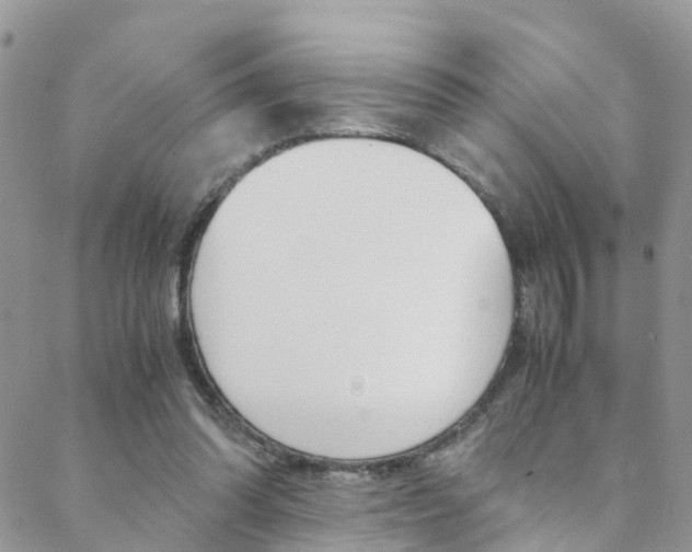 X0000089410302200706150946