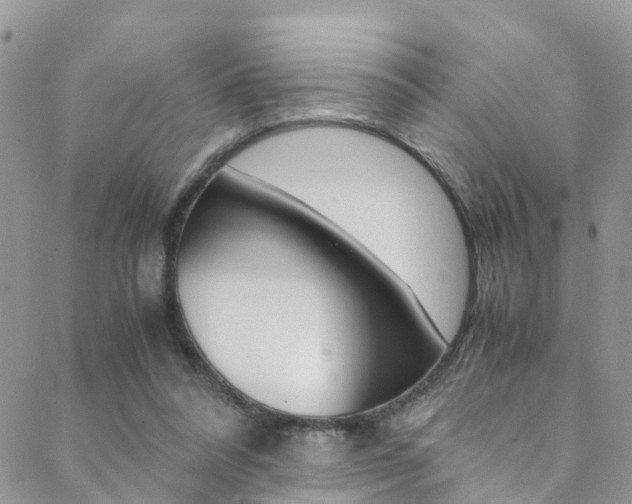 X0000089410304200706150946