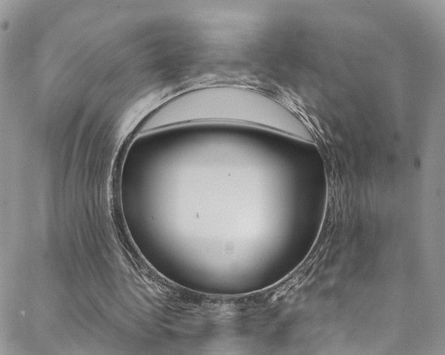 X0000089410340200706150945