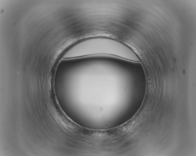 X0000089410350200706150945