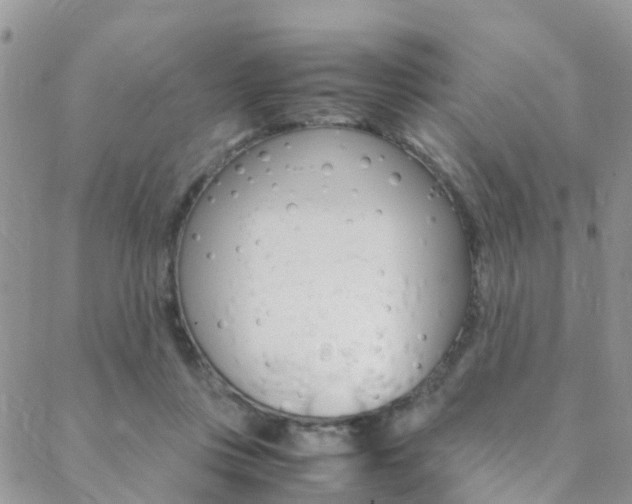 X0000089410359200706150945