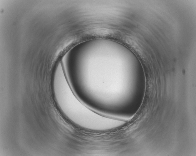 X0000089410399200706150944